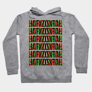 Horizontal Typography Stack (Red Green Black) Hoodie